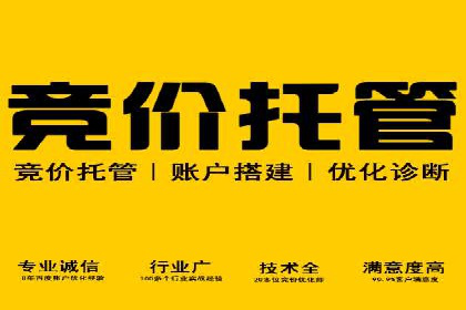 互联网广告新趋势：竞价推广的最新案例